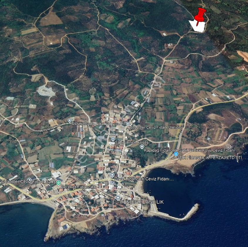 Balıkesir Bandırma Sahil Yenice Mah. 6942 M2 Satılık Tarla Deniz Manzaralı Merkezi Konumda - Görsel 7