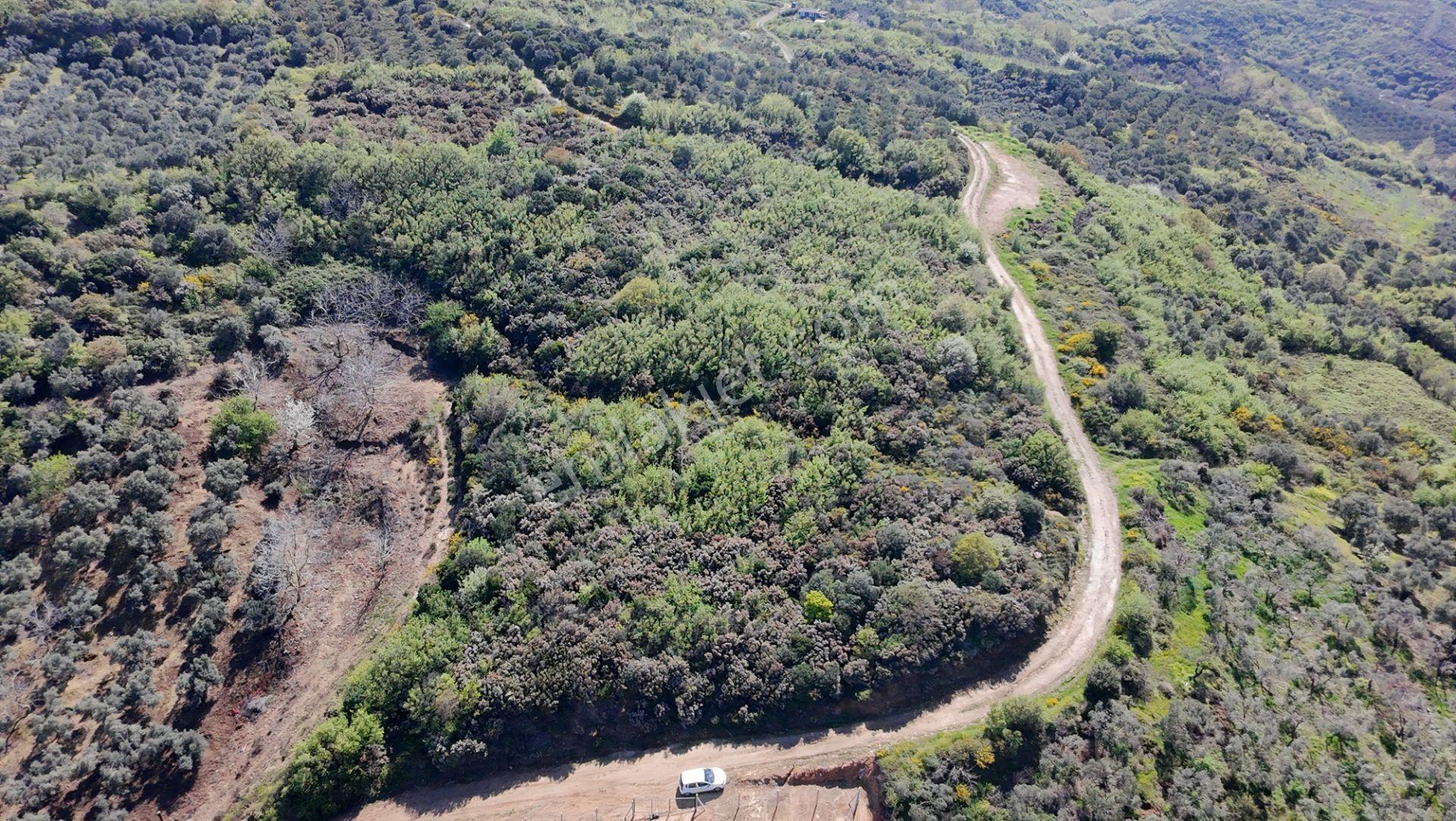Balıkesir Bandırma Sahil Yenice Mah. 6942 M2 Satılık Tarla Deniz Manzaralı Merkezi Konumda