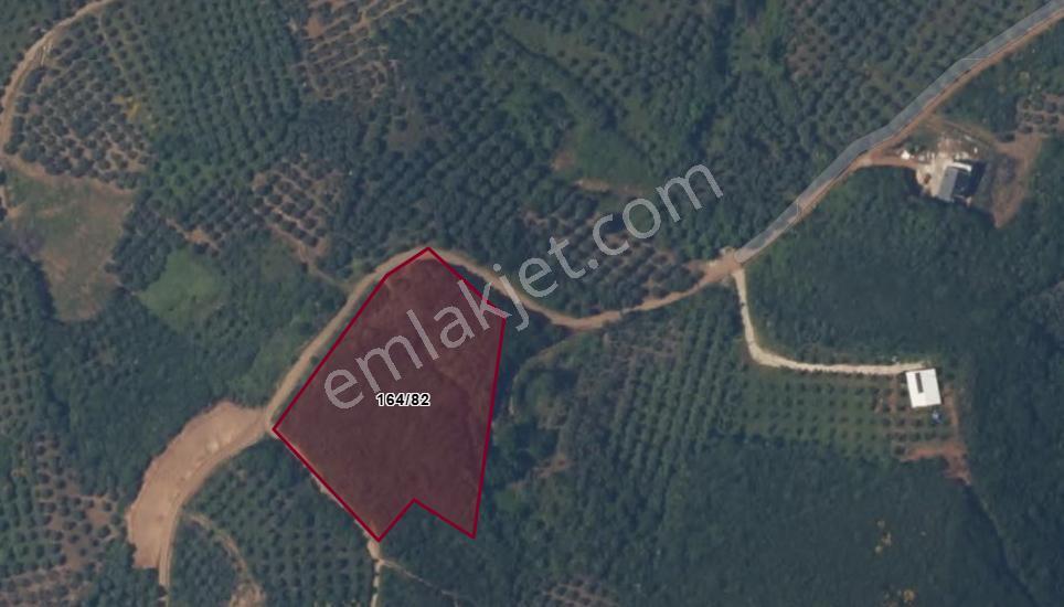 Balıkesir Bandırma Sahil Yenice Mah. 6942 M2 Satılık Tarla Deniz Manzaralı Merkezi Konumda - Görsel 4