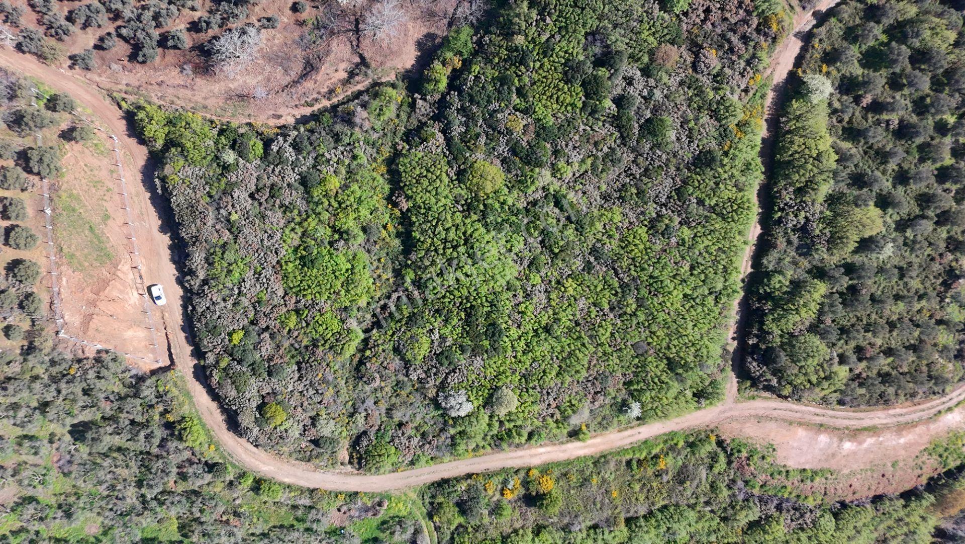 Balıkesir Bandırma Sahil Yenice Mah. 6942 M2 Satılık Tarla Deniz Manzaralı Merkezi Konumda - Görsel 2