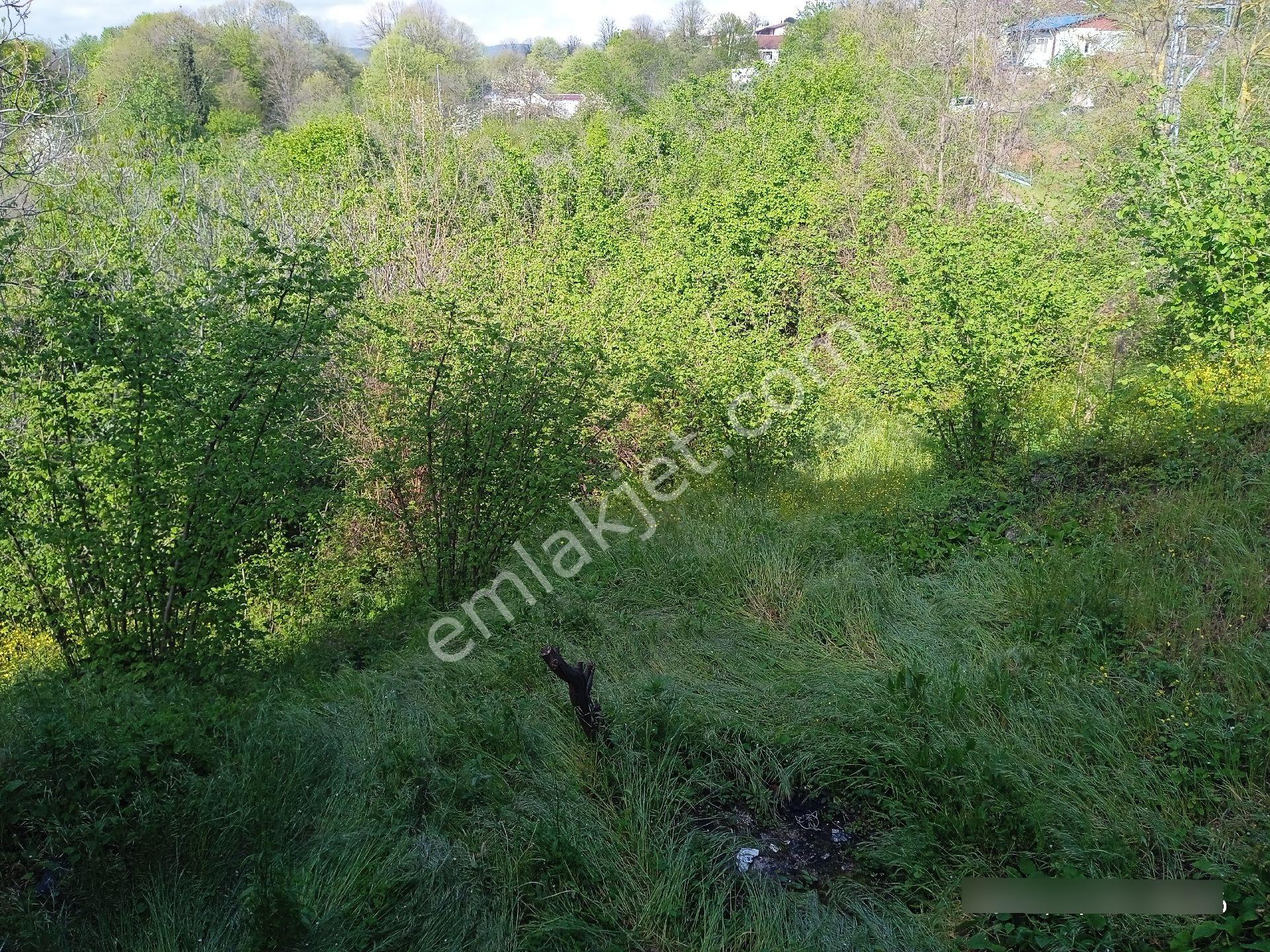 623 M² Satılık Arsa – Yatırımlık, Değerlenen Bölgede | Hisseli Ama Sorunsuz” - Görsel 17