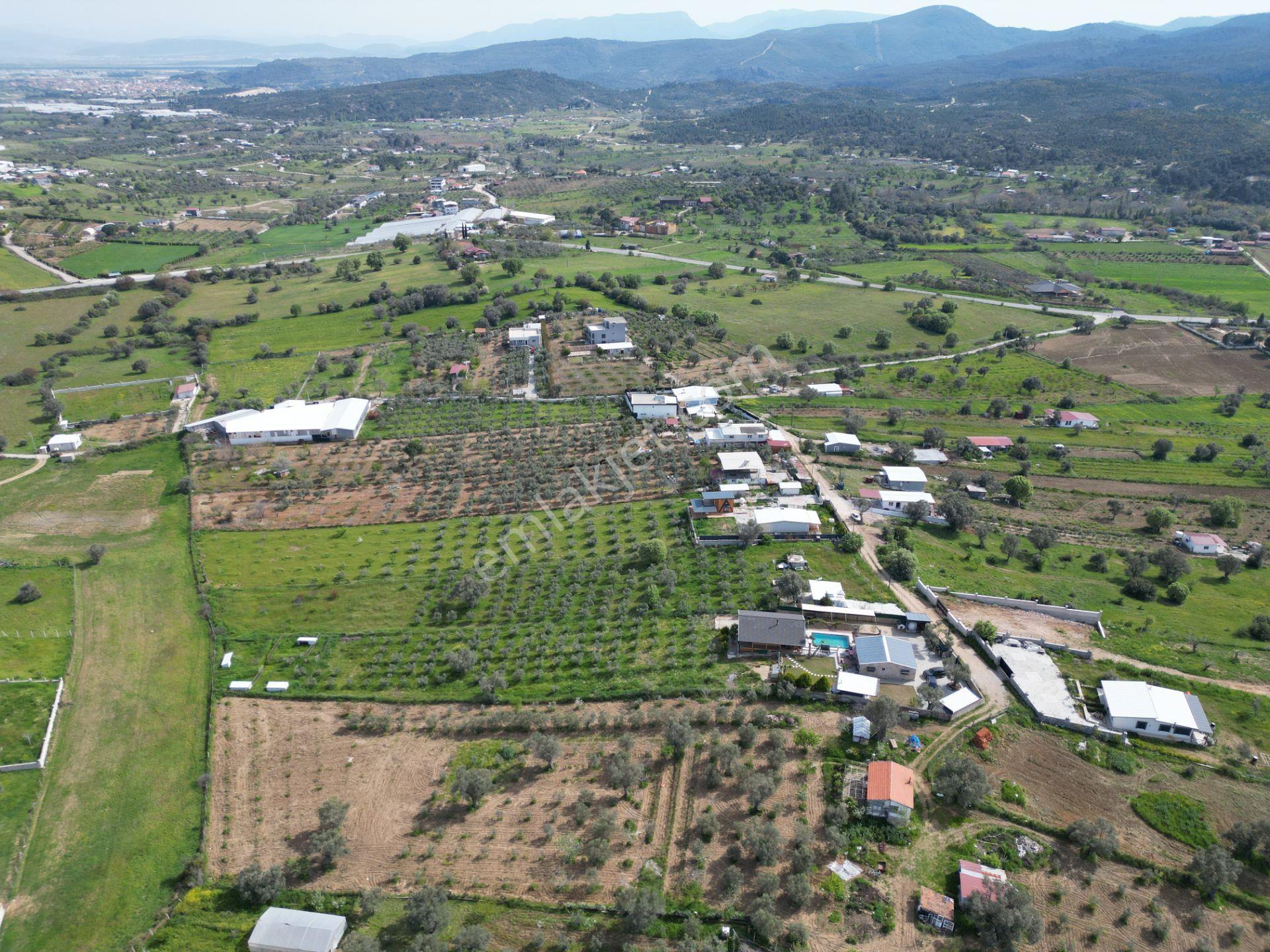 Q'zen Den 4000 M2 Arsa İçerisinde 3+1 Ve 2+1 Evi Olan Çiftlik - Görsel 16