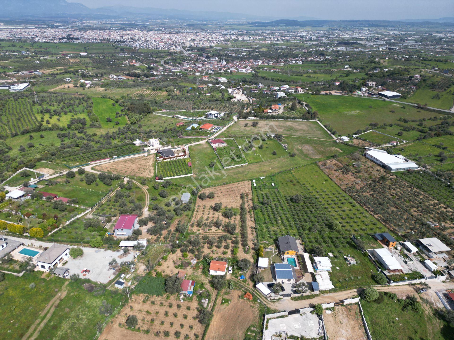 Q'zen Den 4000 M2 Arsa İçerisinde 3+1 Ve 2+1 Evi Olan Çiftlik - Görsel 17