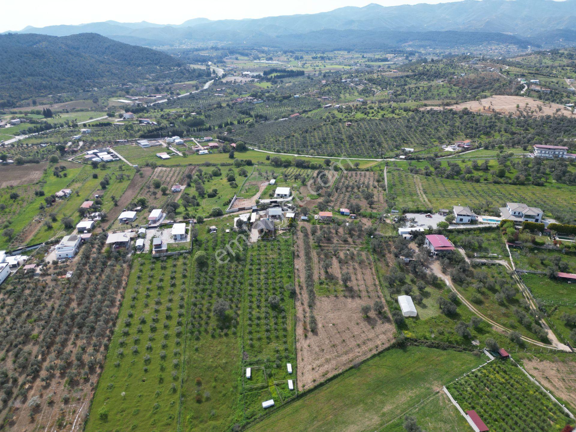 Q'zen Den 4000 M2 Arsa İçerisinde 3+1 Ve 2+1 Evi Olan Çiftlik - Görsel 14