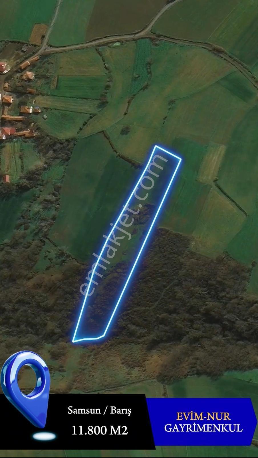 Evim-nur'dan Bafra Barış Mah 11.800m2 Kaçırılmayacak Fırsat Tarla - Görsel 4