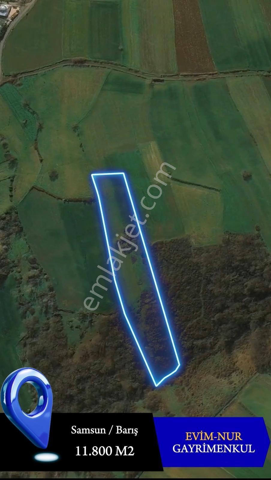 Evim-nur'dan Bafra Barış Mah 11.800m2 Kaçırılmayacak Fırsat Tarla - Görsel 7