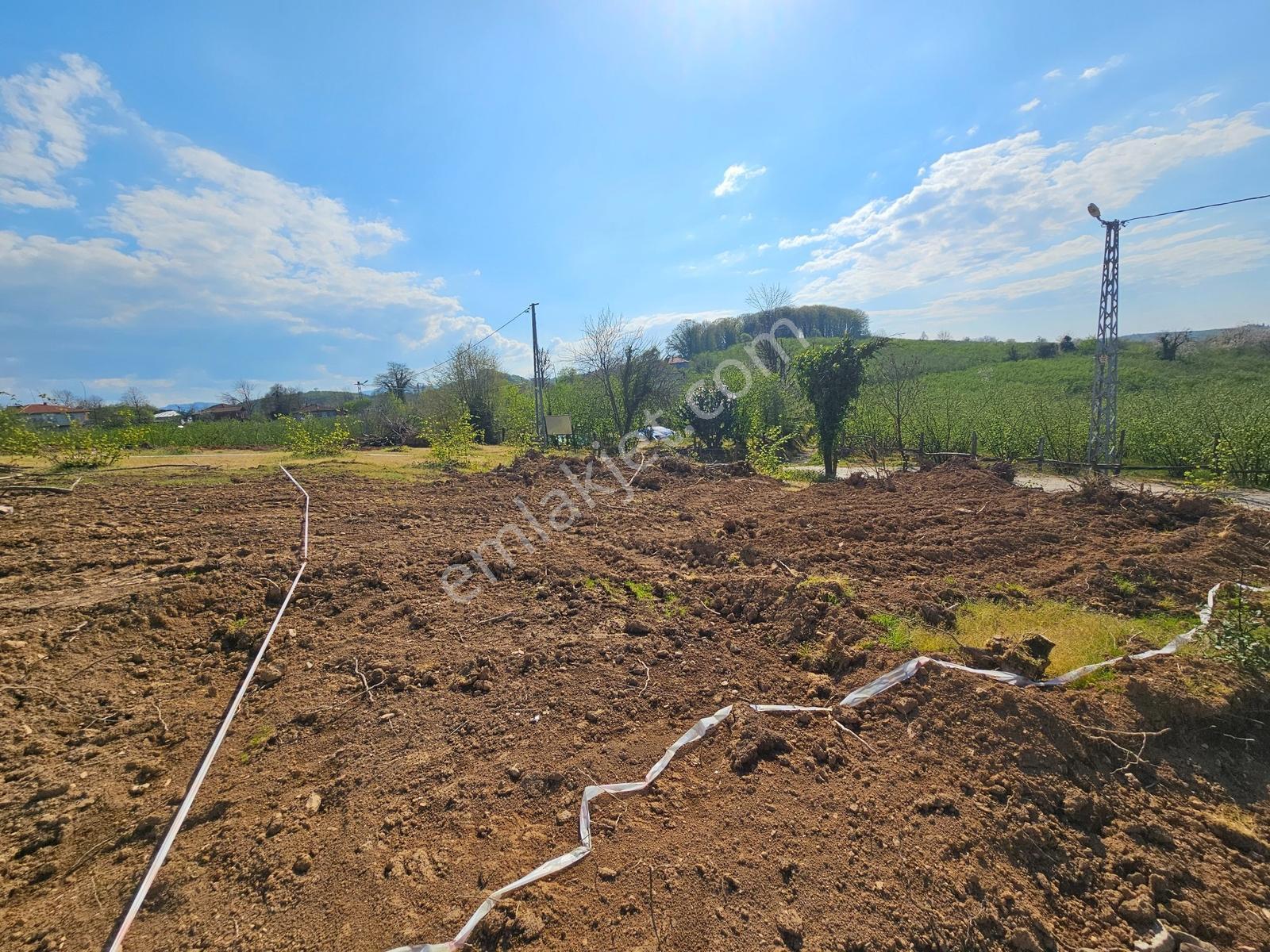 Deniz'den 377 M2 Projeli , Ruhsatlı Satılık Arsa - Görsel 6