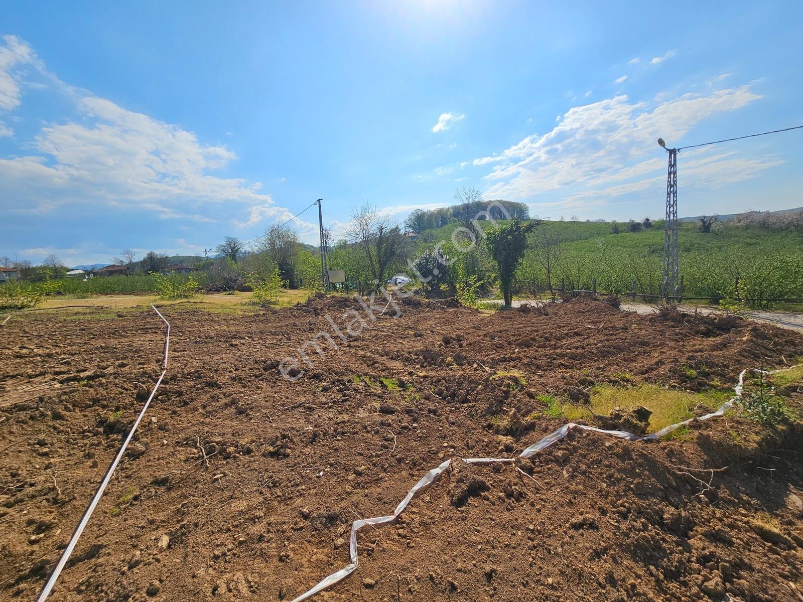 Deniz'den 377 M2 Projeli , Ruhsatlı Satılık Arsa - Görsel 7