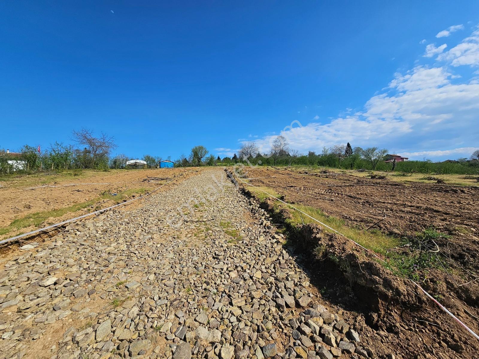 Deniz'den 377 M2 Projeli , Ruhsatlı Satılık Arsa - Görsel 4