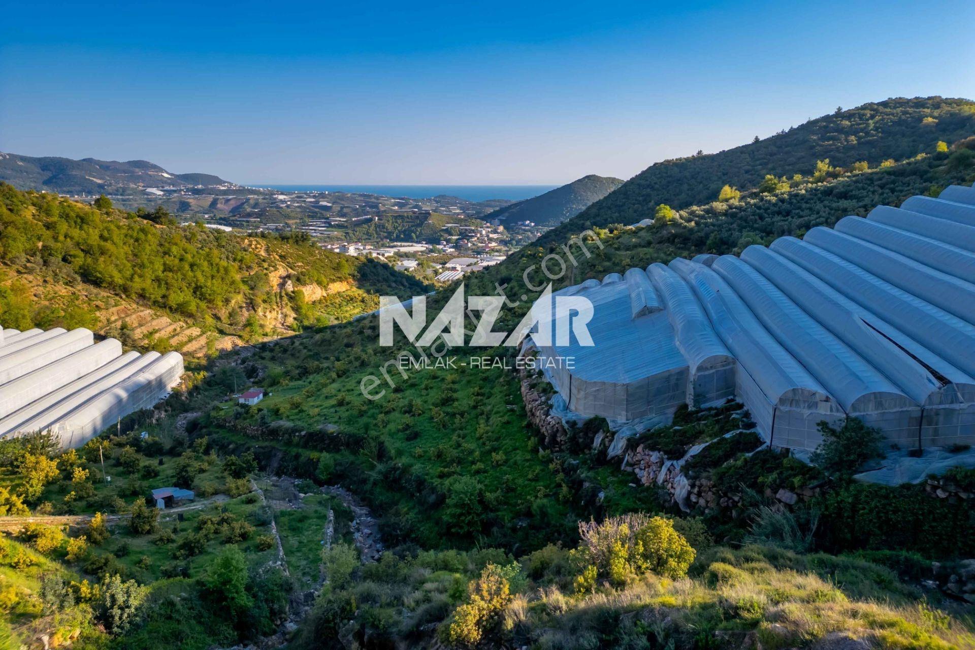 Alanya Toslak’ta 1.010 M² Satılık Tarla - Görsel 11