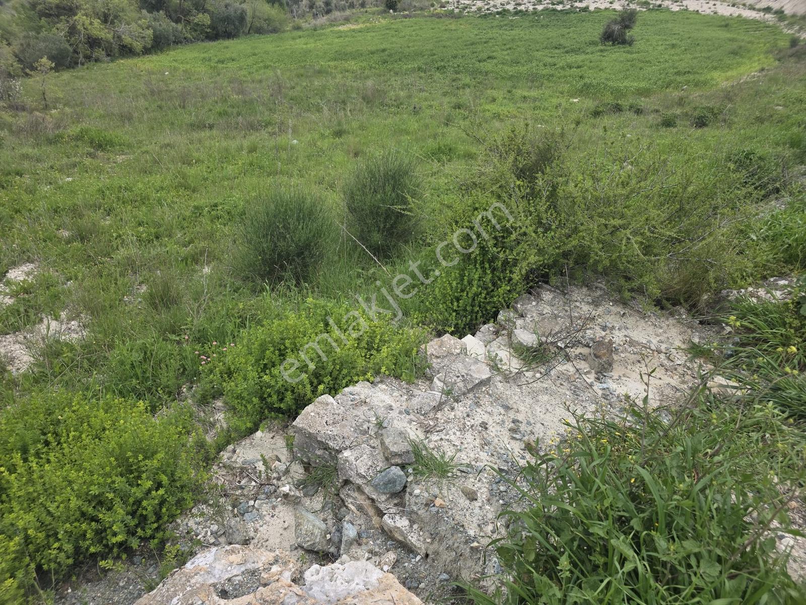Oflaz Emlaktan Satılık 24 Dönüm Tarla - Görsel 2