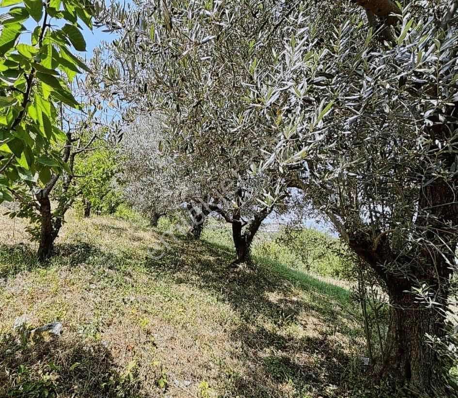 Salihli Gökköy Mahallesinde Satılık İmarlı Arsa - Görsel 6