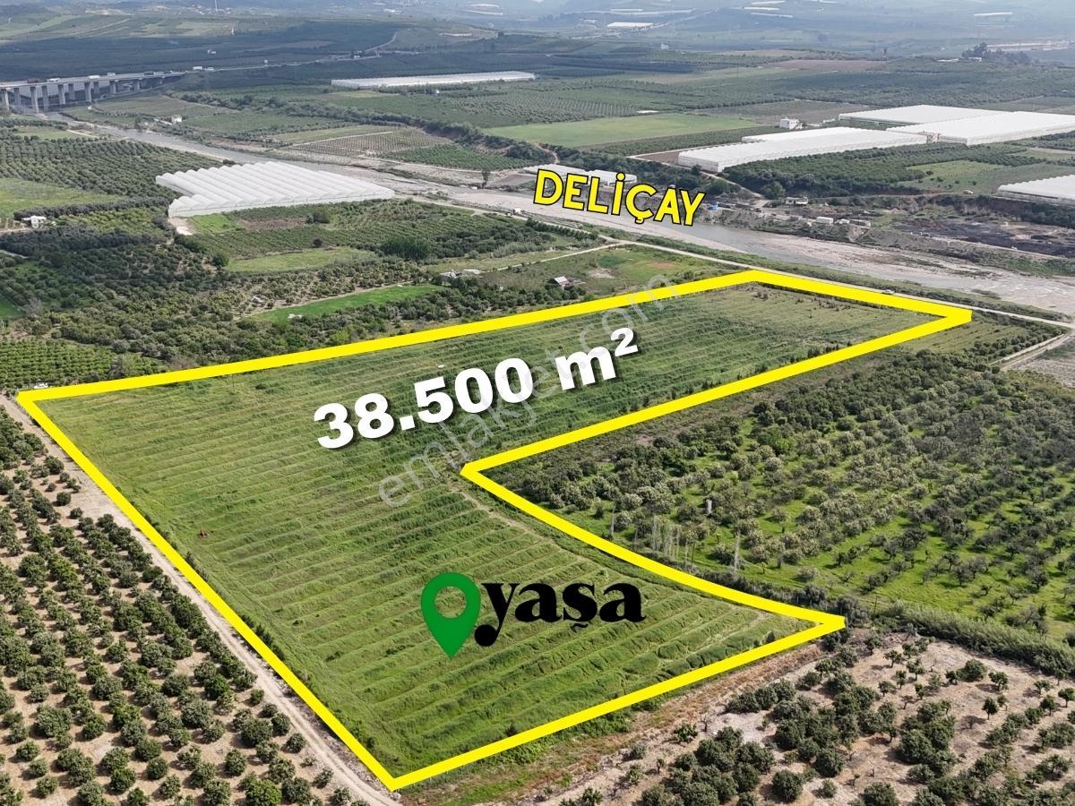 Yaşa Gyd - Akdam Deliçay Sınırında Yatırımlık 38.500 M² Tarla