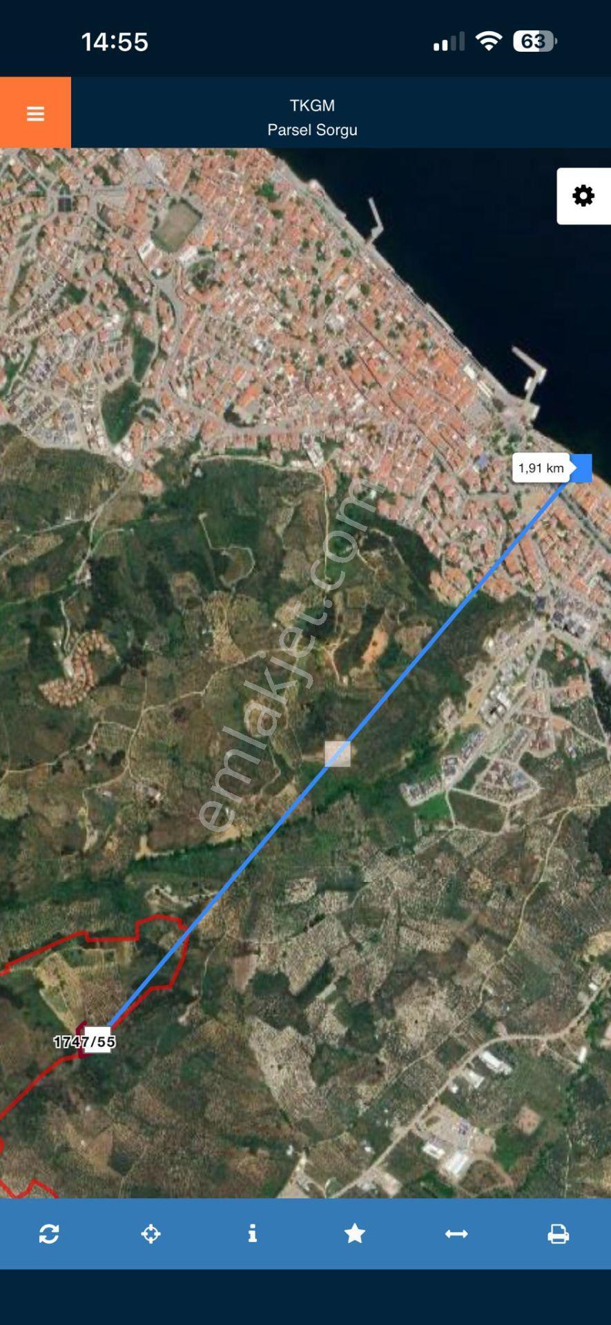 Bursa Mudanya Işıklıda Yatırımlık Satılık Zeytinlik 1,849 M2 - Görsel 2