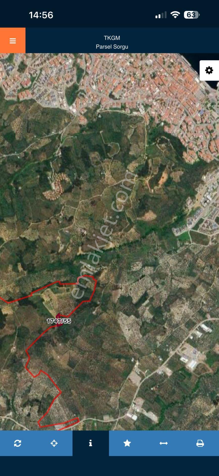 Bursa Mudanya Işıklıda Yatırımlık Satılık Zeytinlik 1,849 M2 - Görsel 3