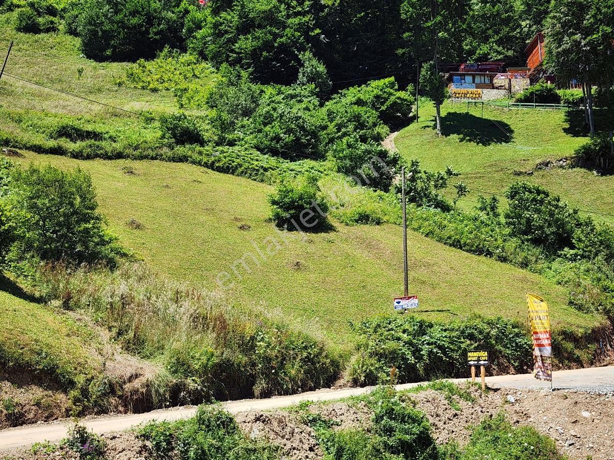 Uzungölde Satılık Arazı - Görsel 12