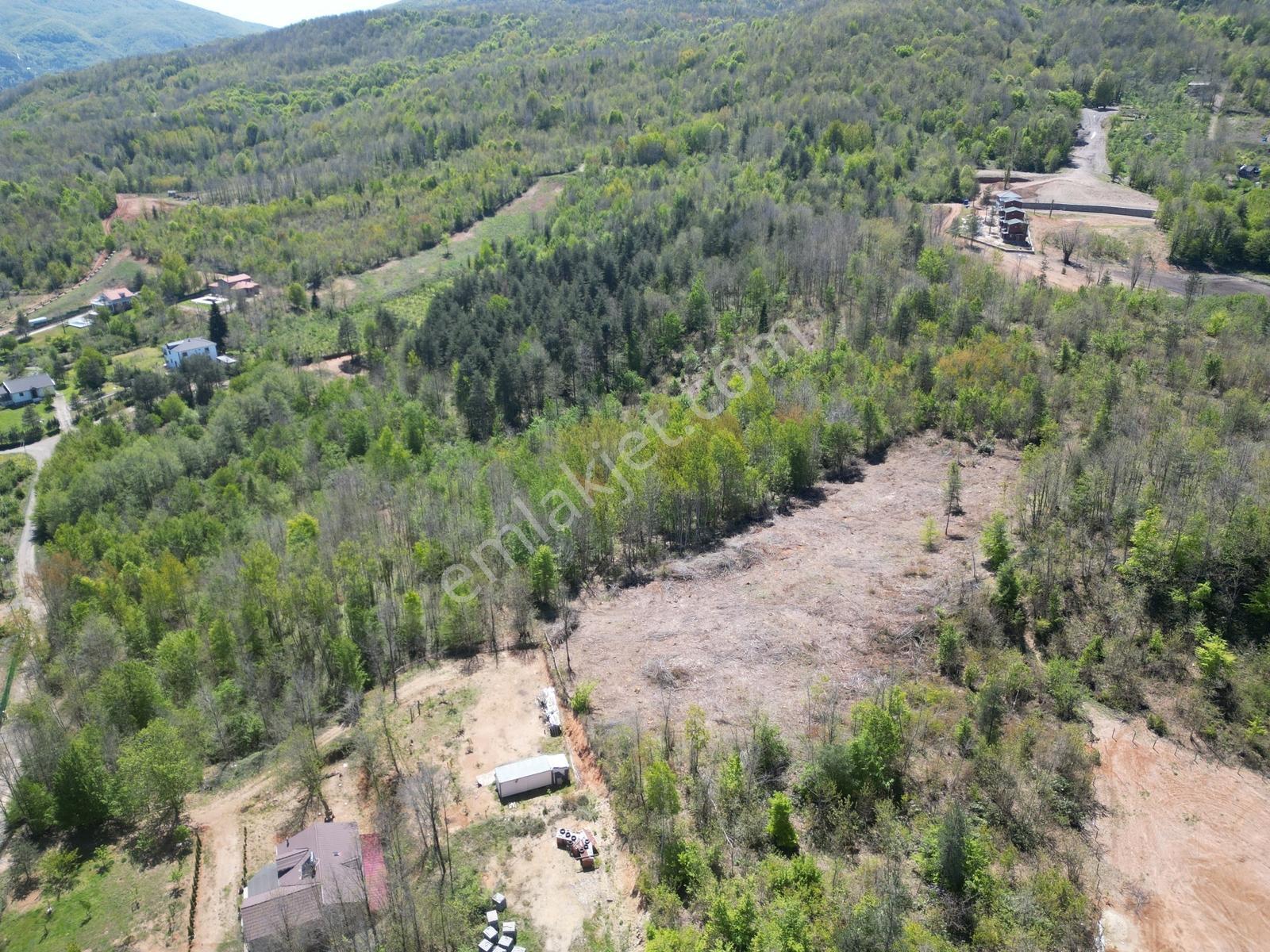 Sapanca'da İmara Yakın Satılık Fırsat Arazi - Görsel 2