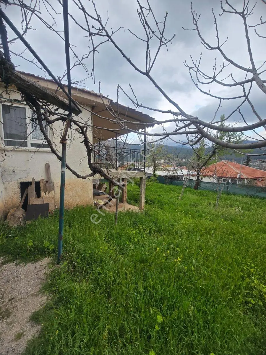 Arsa Fiyatına Bahçeli, Meyve Ağaçlı Müstakil Ev Fırsatı! - Görsel 12
