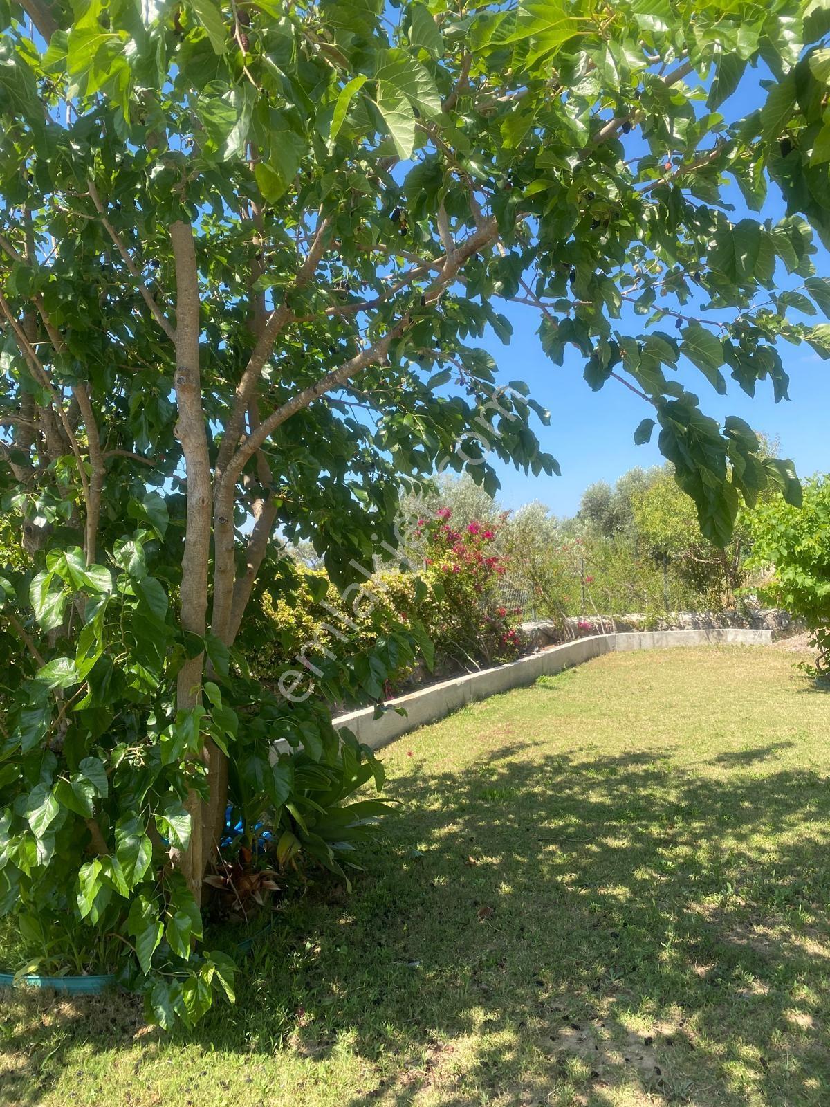Yalıkavak' Da Kiralık Lüks Nostaljilk Villa - Görsel 33