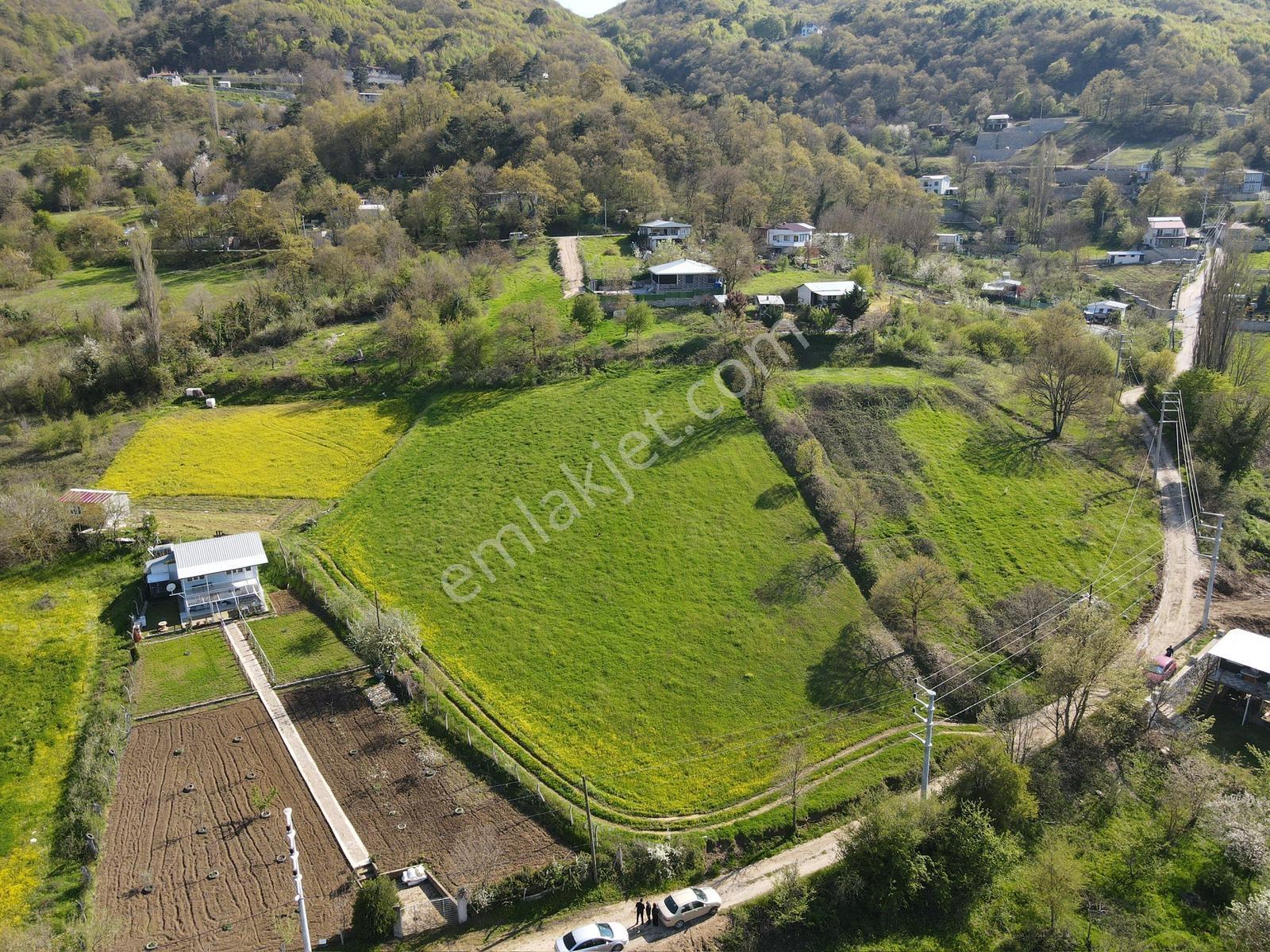 Nilüfer Atlas'ta 4337 M2 Tek Tapu Harika Manzaralı Satılık Tarla - Görsel 4