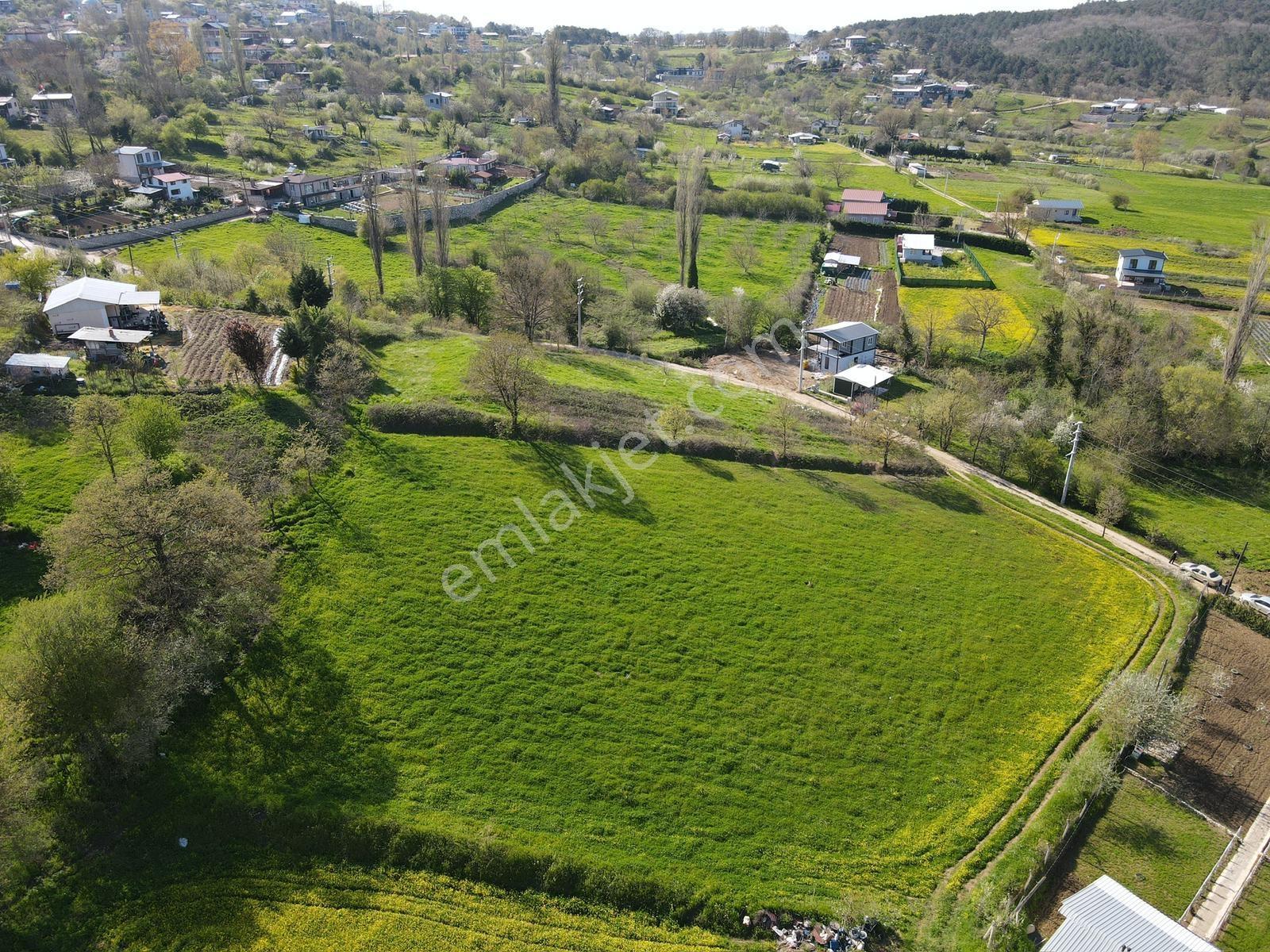 Nilüfer Atlas'ta 4337 M2 Tek Tapu Harika Manzaralı Satılık Tarla - Görsel 3