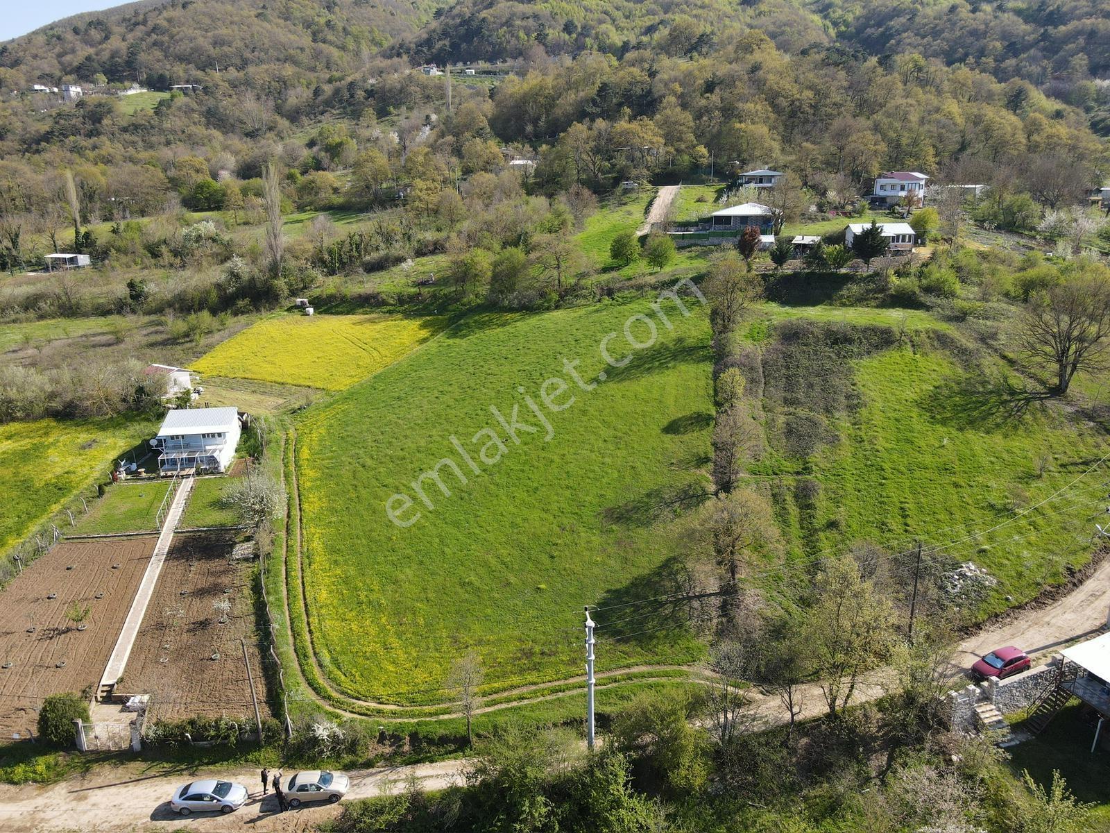Nilüfer Atlas'ta 4337 M2 Tek Tapu Harika Manzaralı Satılık Tarla - Görsel 11