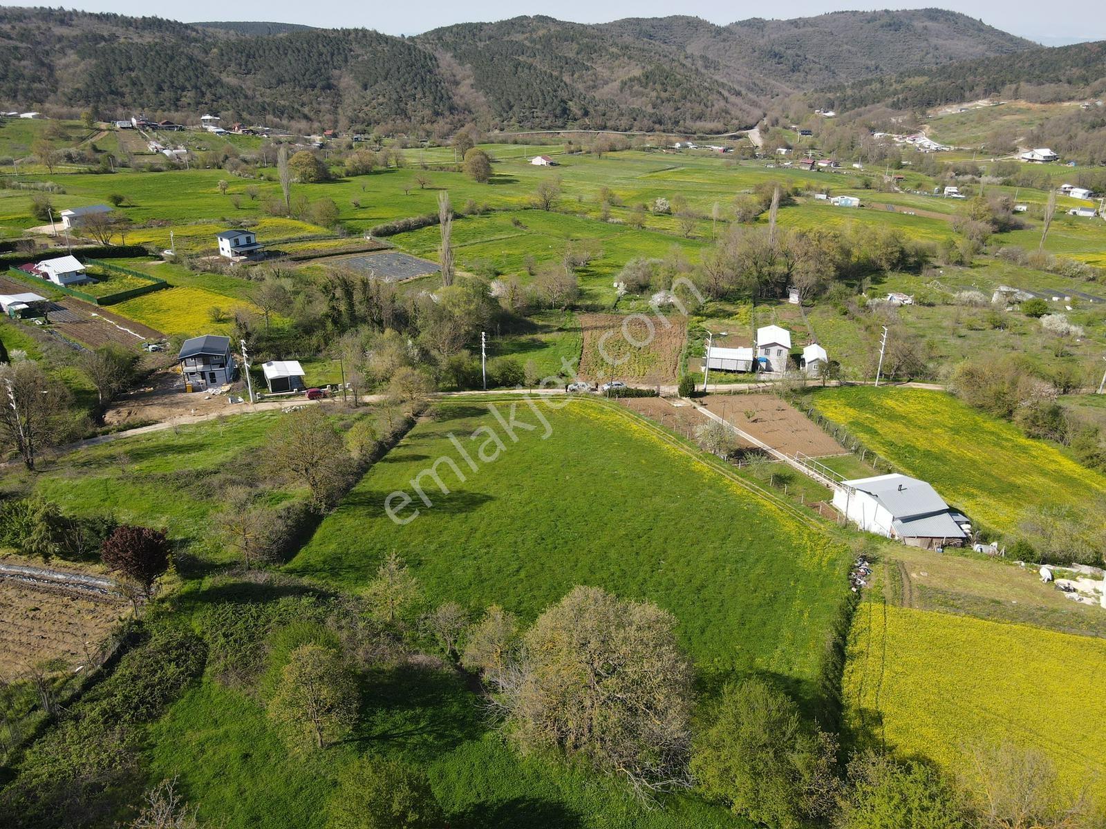Nilüfer Atlas'ta 4337 M2 Tek Tapu Harika Manzaralı Satılık Tarla - Görsel 9