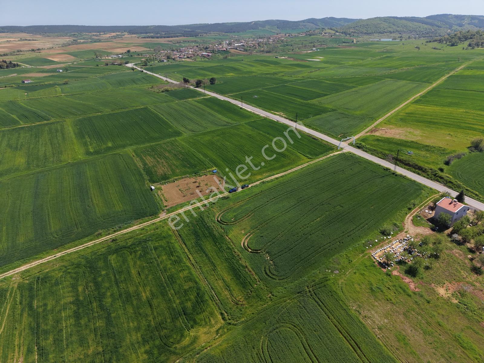Ege Emlak'tan Şabanmera Köyünde Satılık 3.498 M2 Tarla - Görsel 25