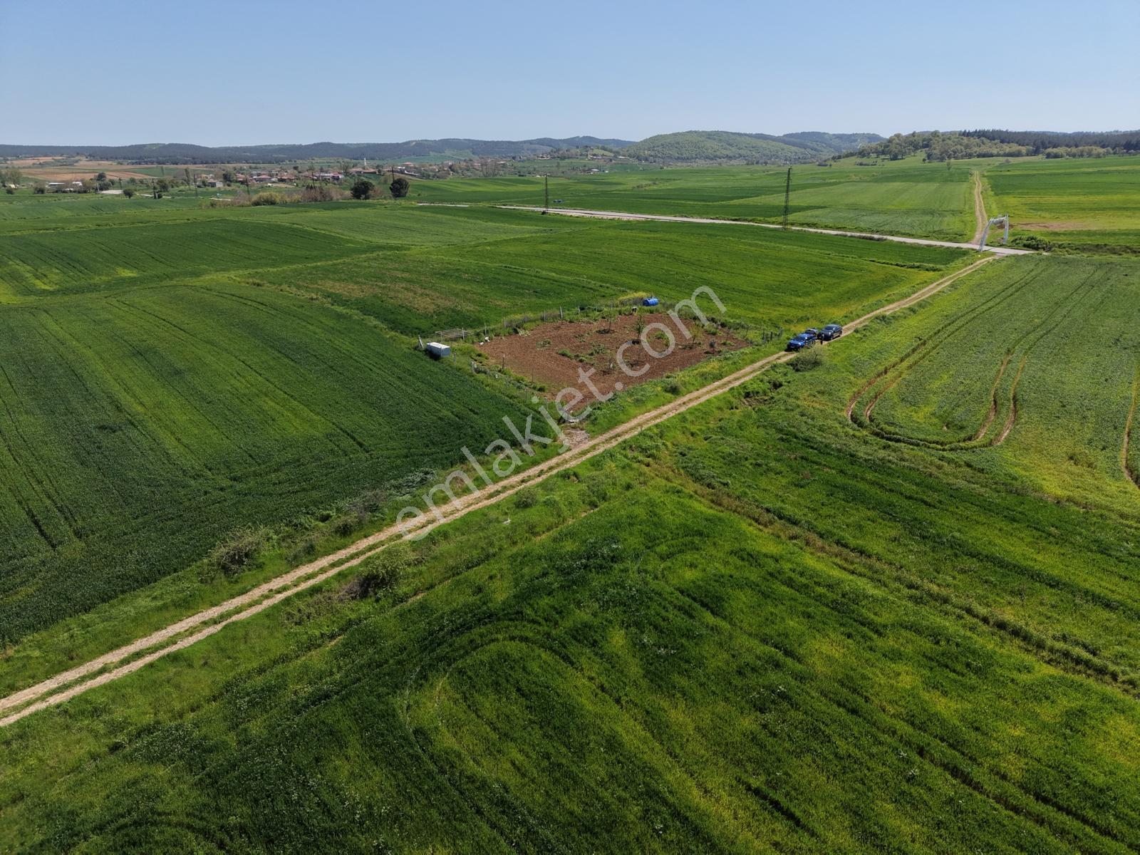 Ege Emlak'tan Şabanmera Köyünde Satılık 3.498 M2 Tarla - Görsel 9