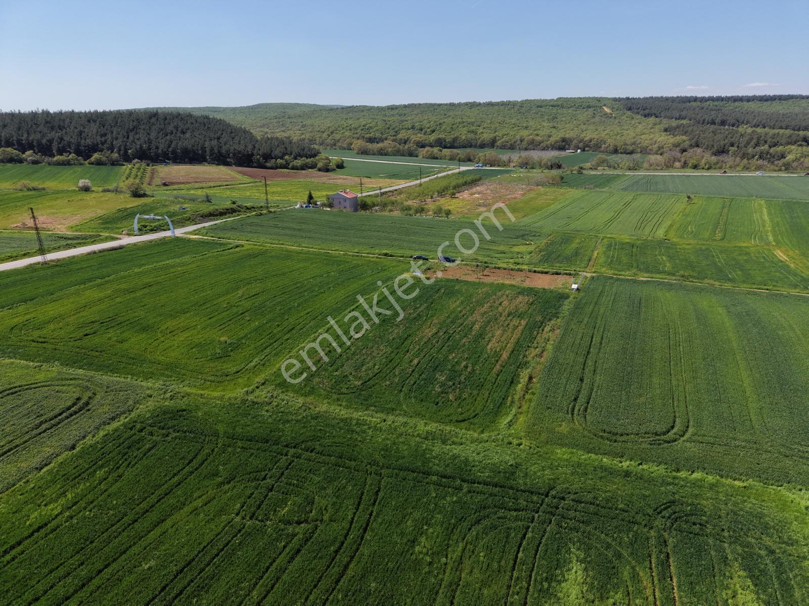 Ege Emlak'tan Şabanmera Köyünde Satılık 3.498 M2 Tarla - Görsel 5