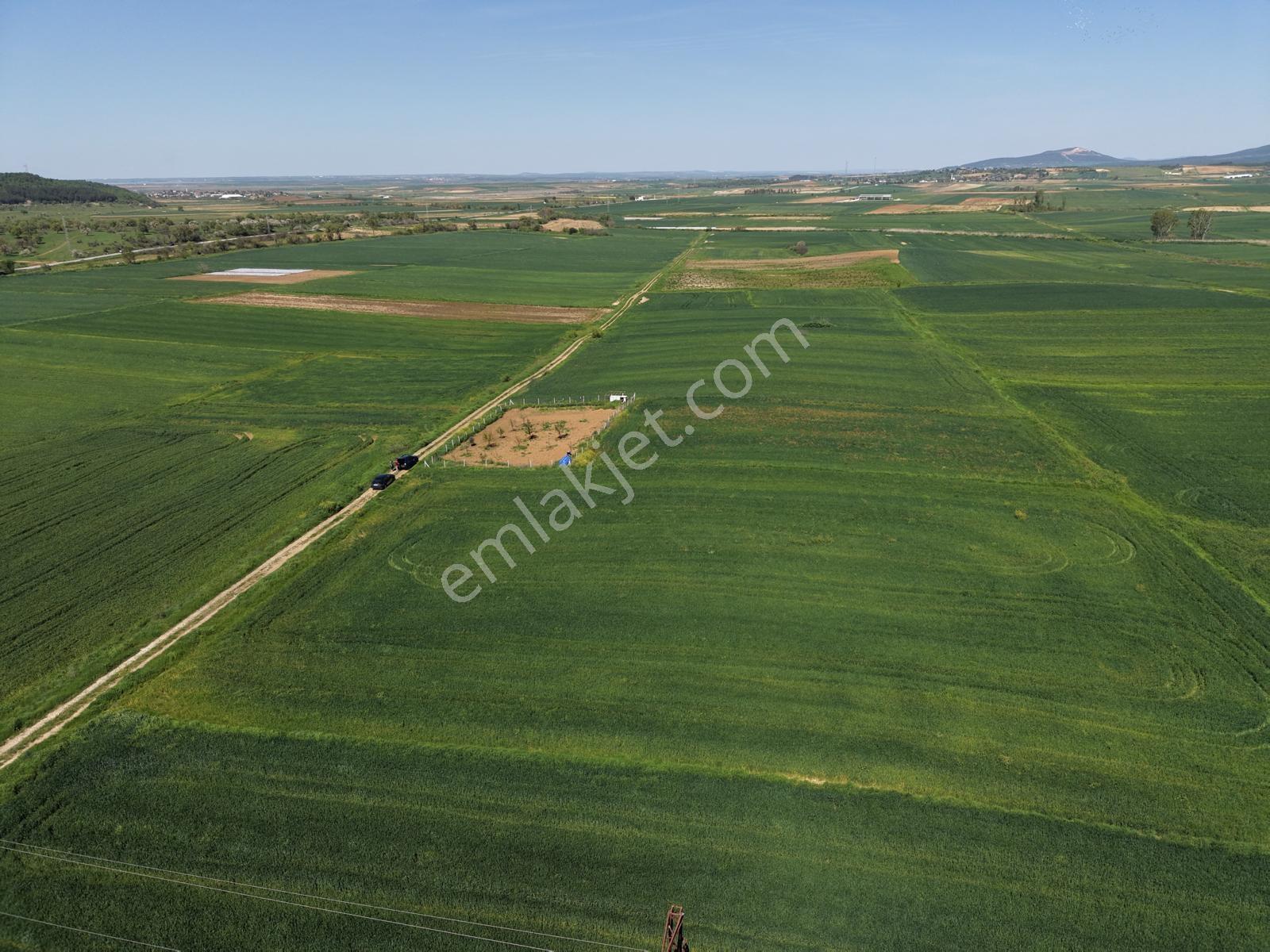 Ege Emlak'tan Şabanmera Köyünde Satılık 3.498 M2 Tarla - Görsel 14