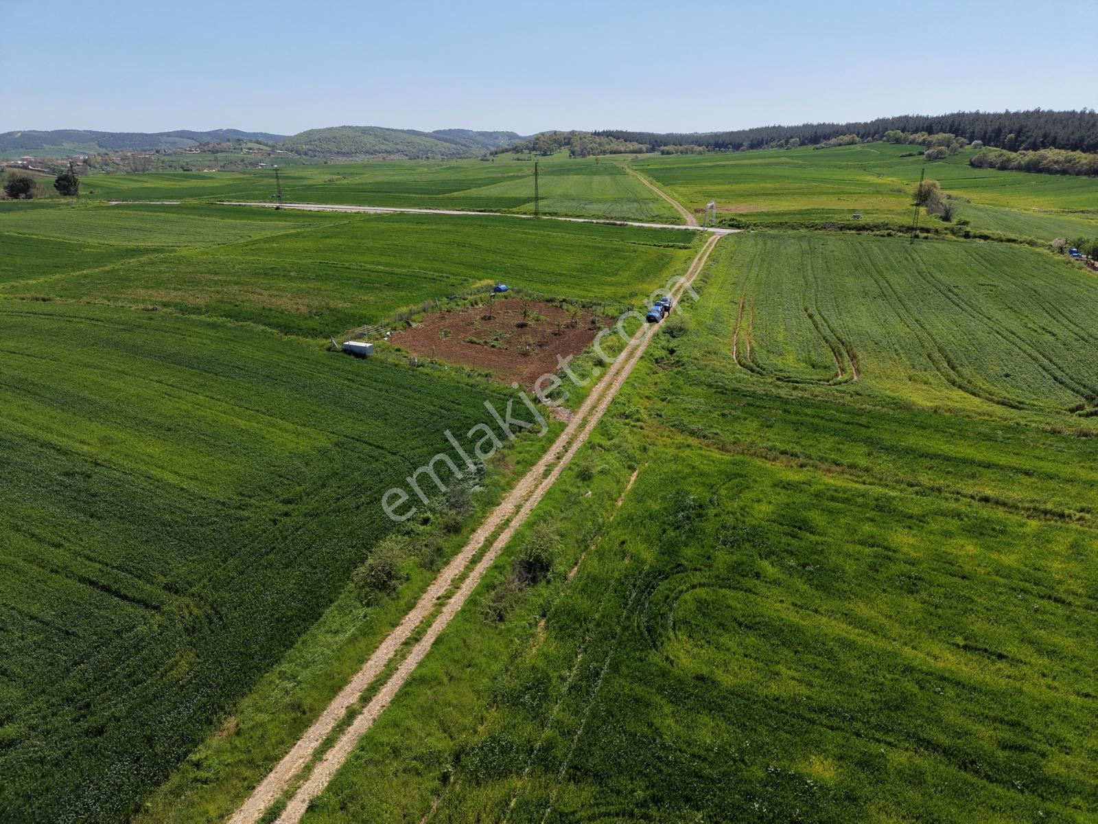 Ege Emlak'tan Şabanmera Köyünde Satılık 3.498 M2 Tarla - Görsel 29