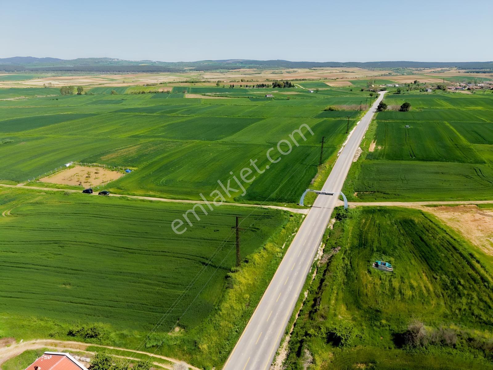 Ege Emlak'tan Şabanmera Köyünde Satılık 3.498 M2 Tarla - Görsel 16