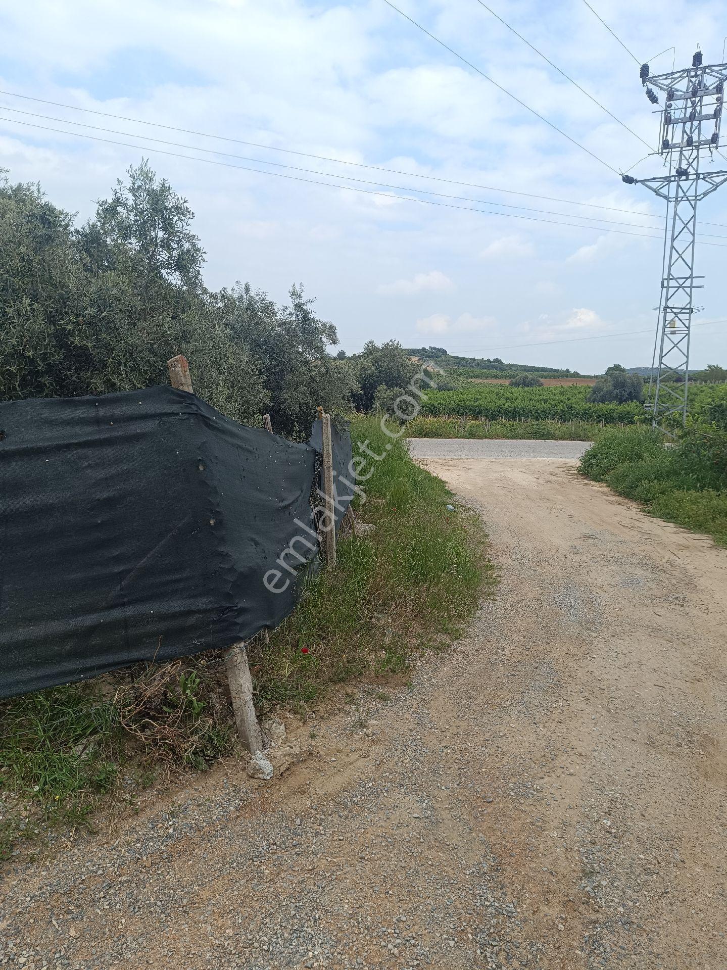 Tarsus İbrişim Köyünde Satılık Bahçe - Görsel 28
