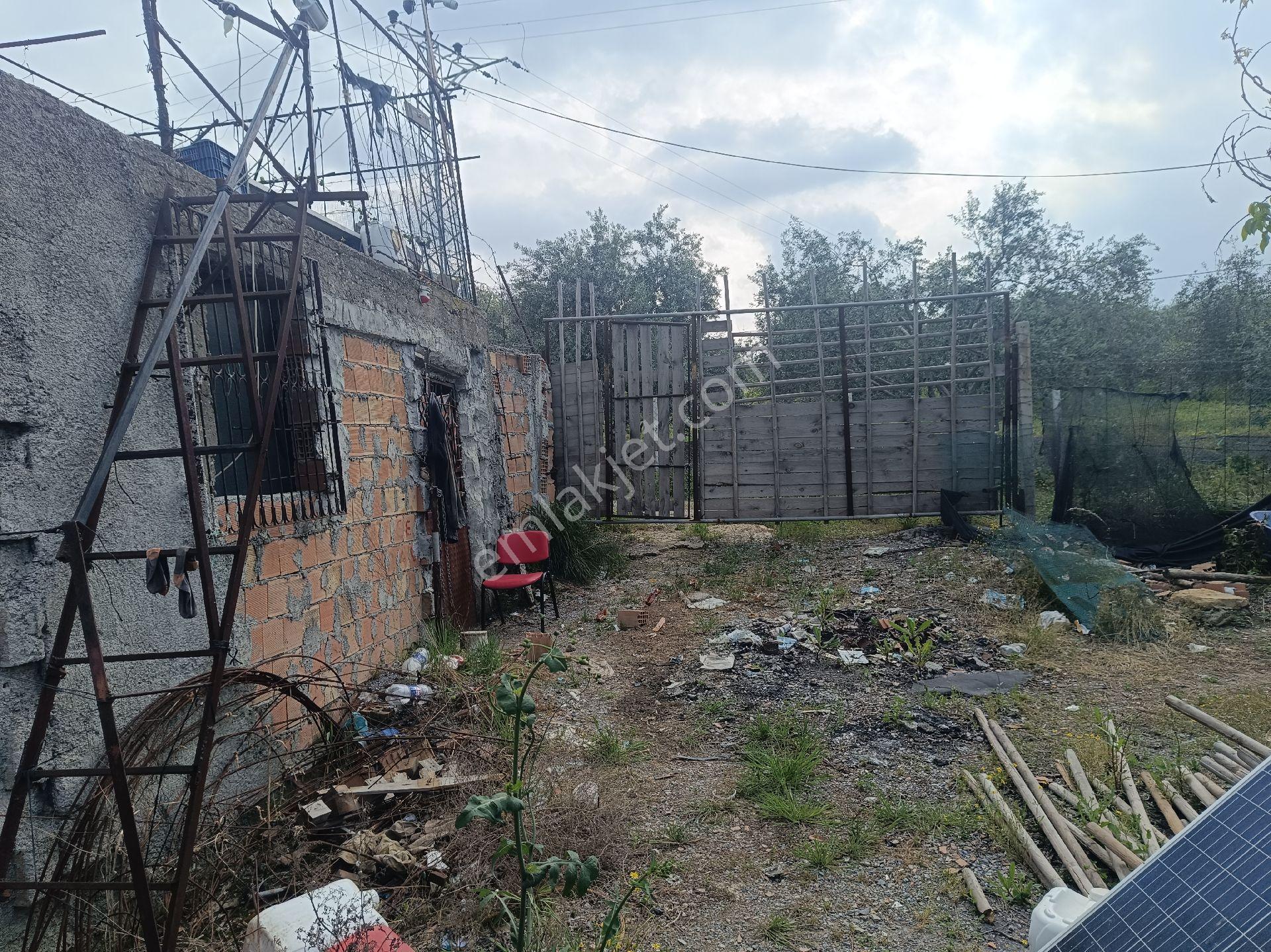 Tarsus İbrişim Köyünde Satılık Bahçe - Görsel 10