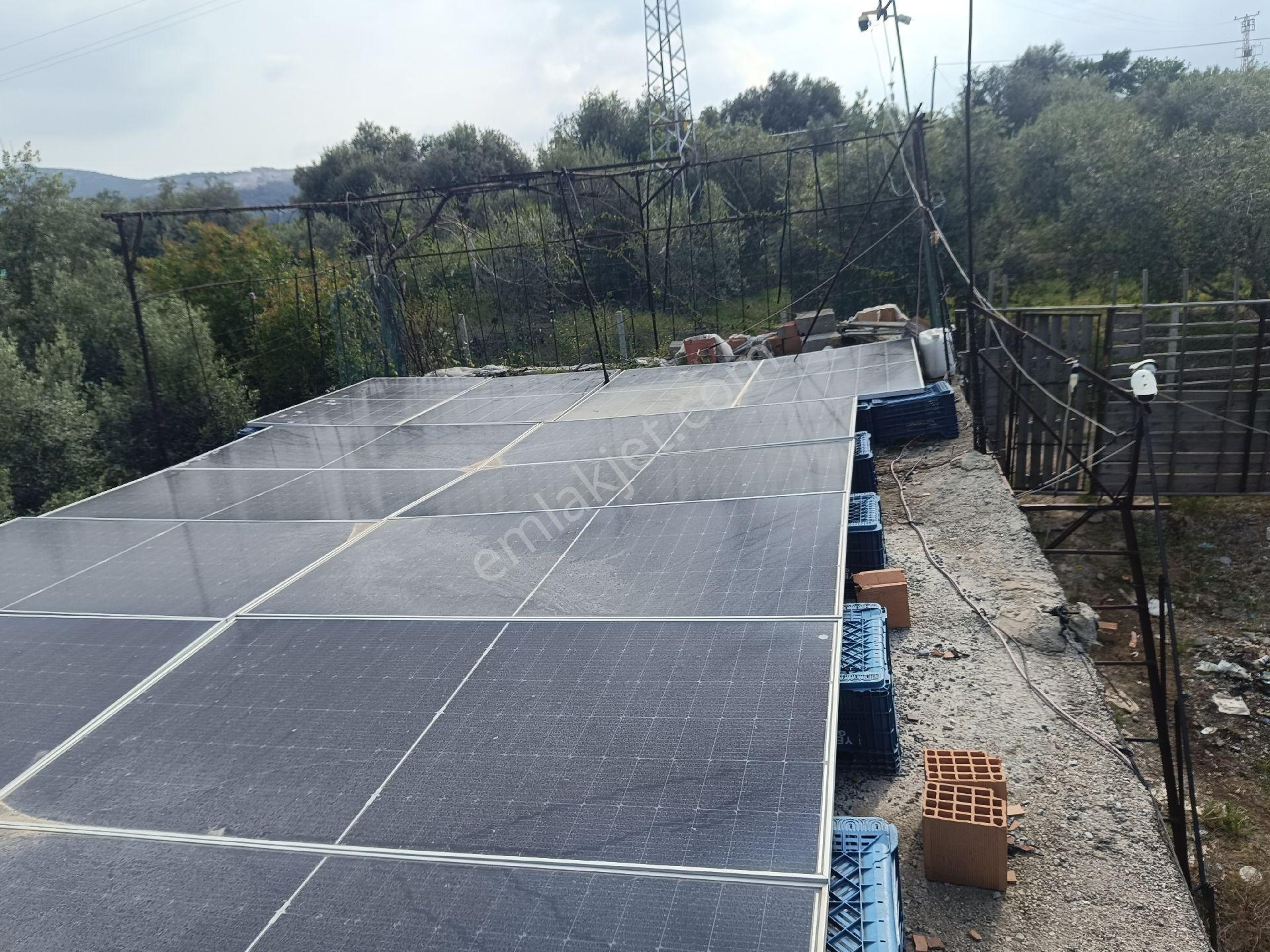 Tarsus İbrişim Köyünde Satılık Bahçe - Görsel 7