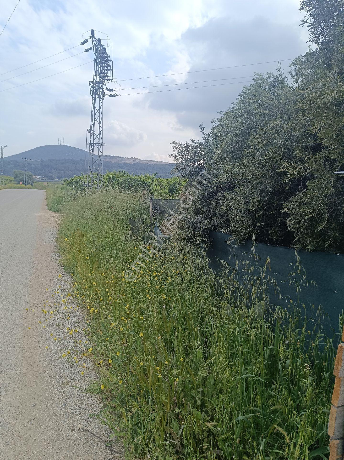 Tarsus İbrişim Köyünde Satılık Bahçe - Görsel 26