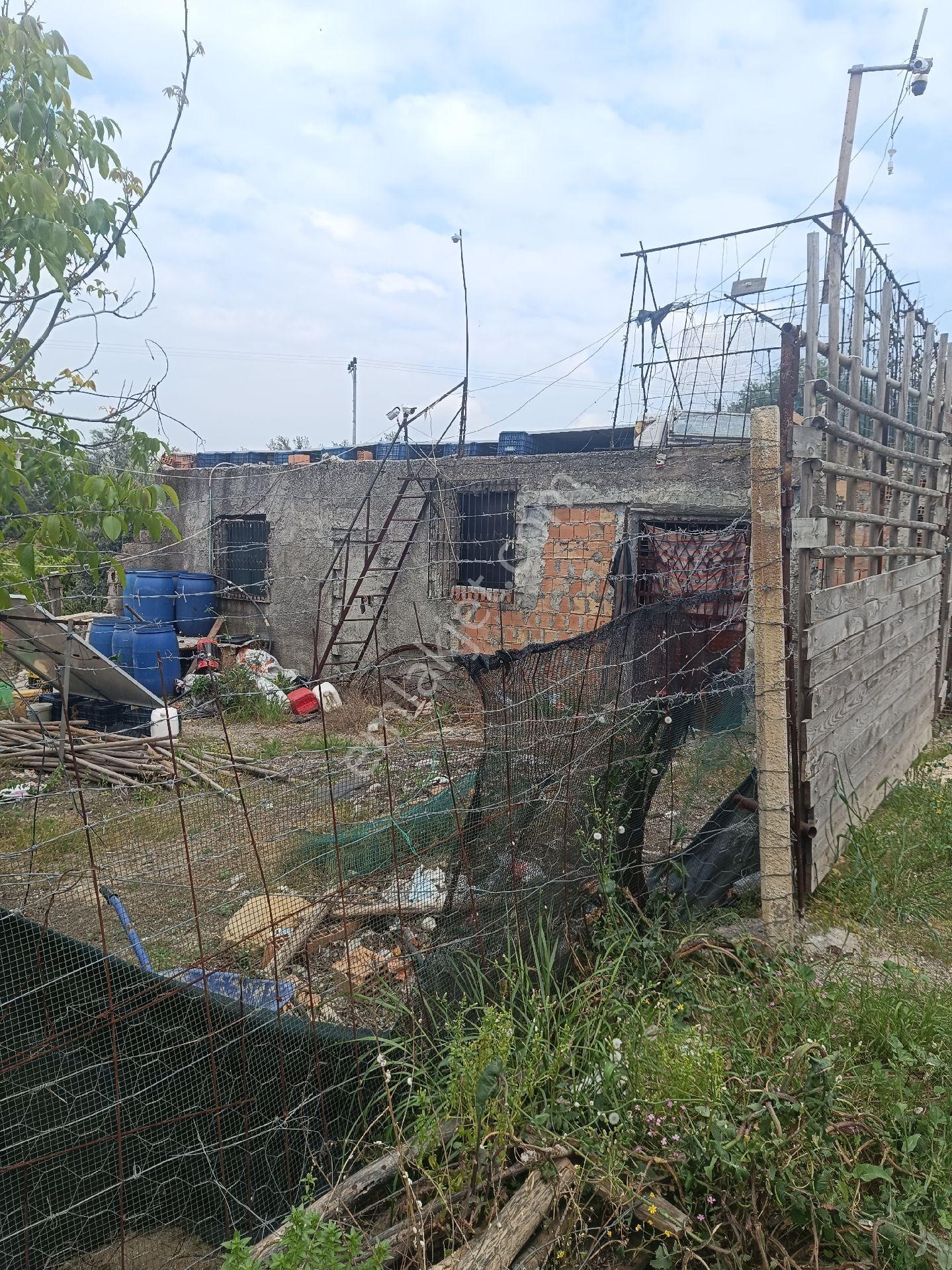 Tarsus İbrişim Köyünde Satılık Bahçe - Görsel 31