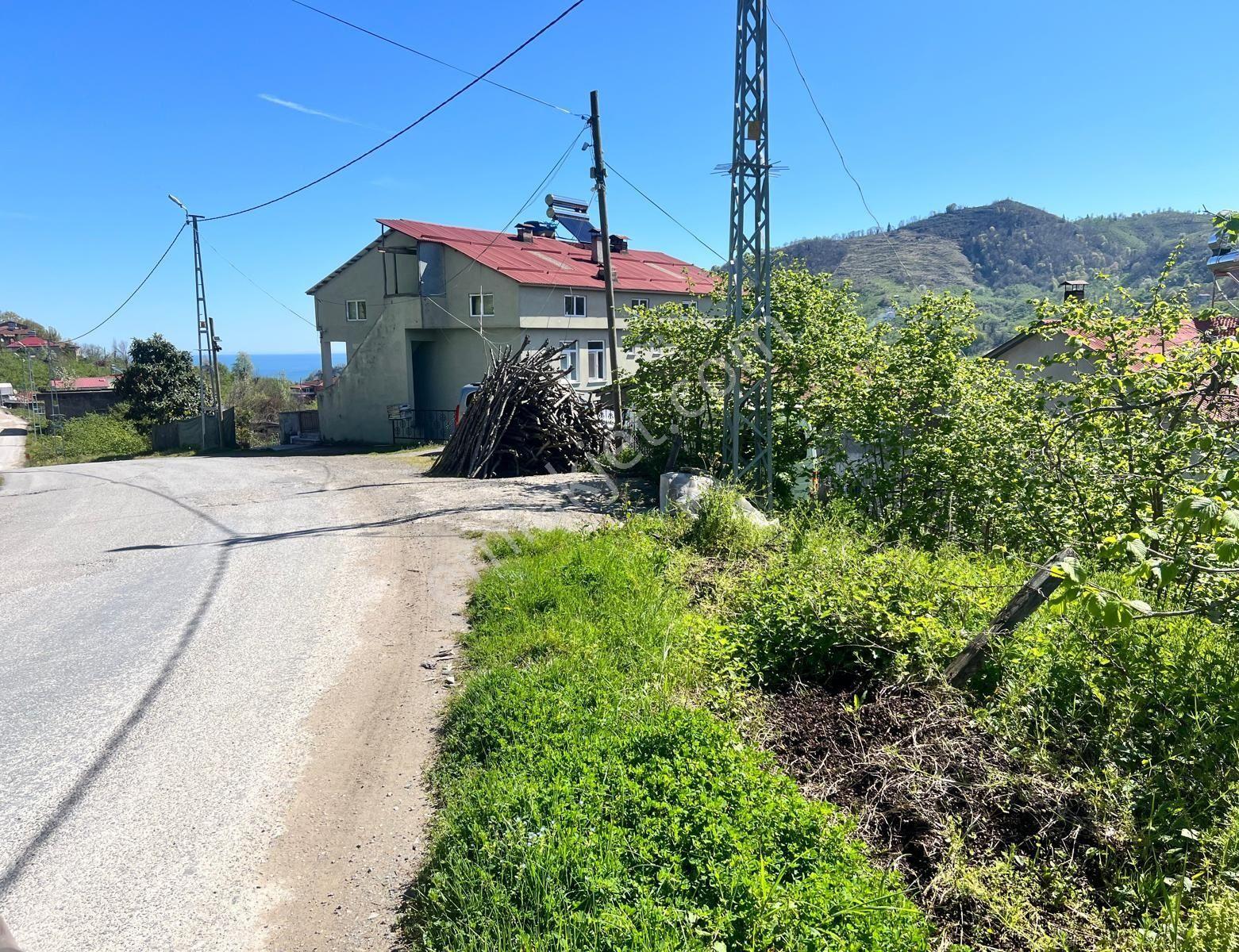 Giresun Boztekke'de Ana Yola Cephe, Denize Yakın 7187 M² Bahçe - Görsel 5