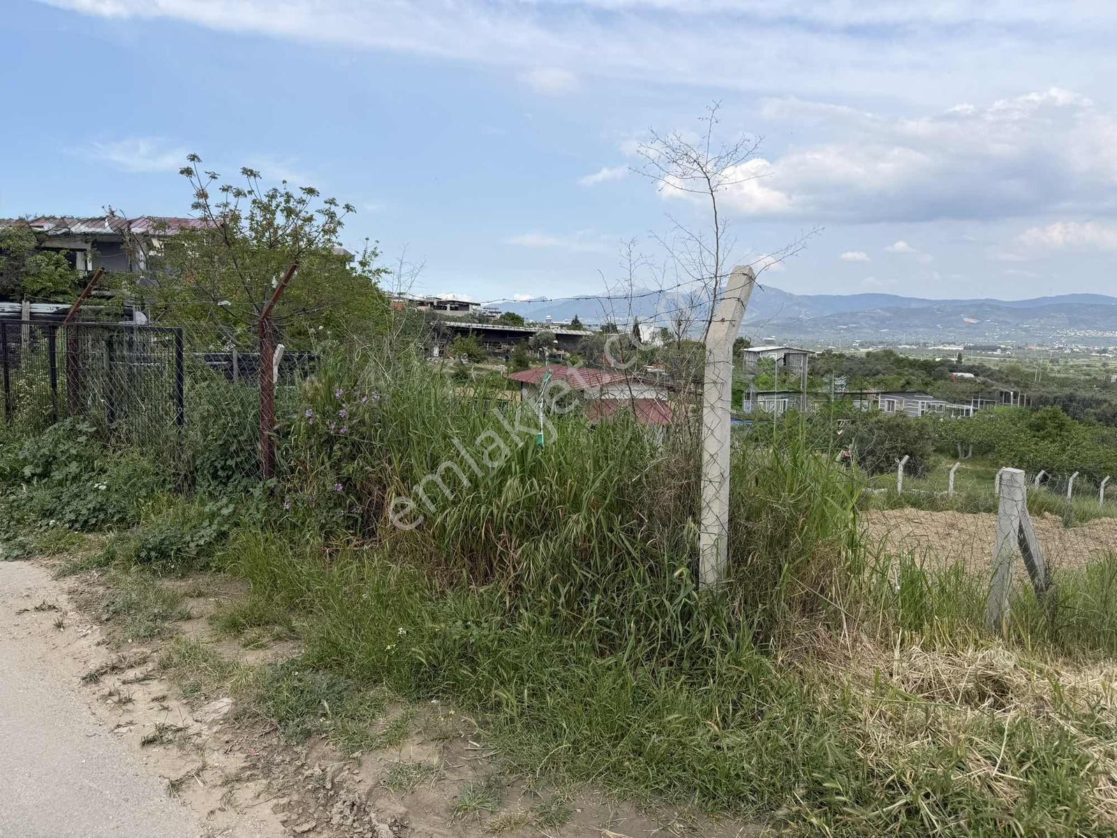 Çapak'ta Cadde Cepheli Muhteşem Bahçe - Görsel 8