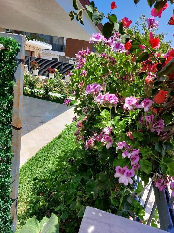 İzmir Çeşme Şifnede Havuzlu Geniş Bahçeli Kiralık Müstakil - Görsel 21
