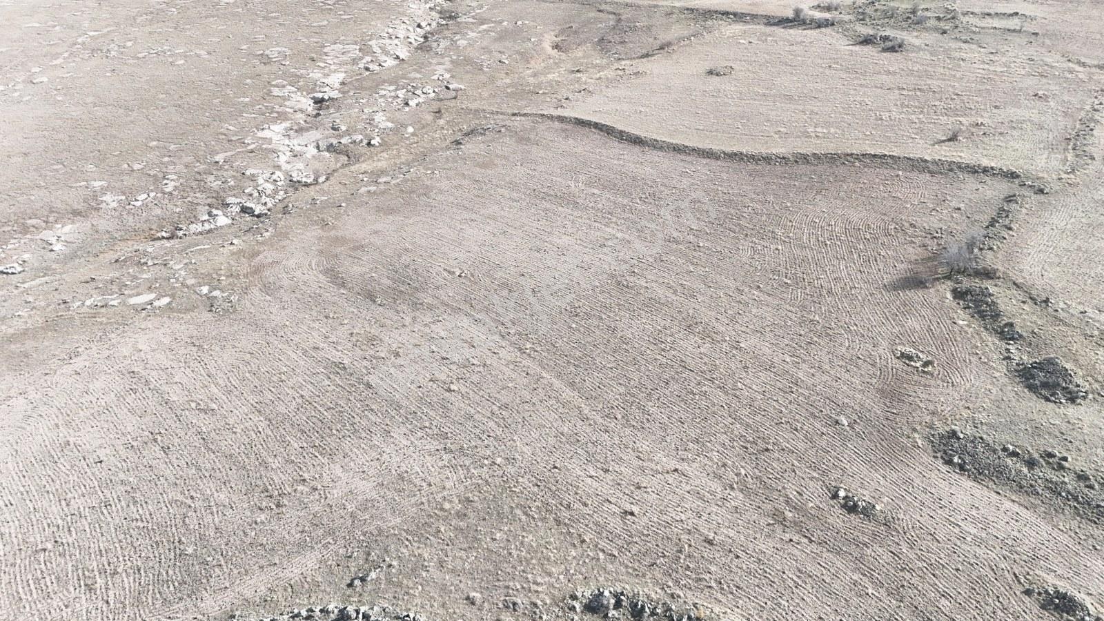 Ihlara Vadisine Yakın - 20.000 M² Satılık Tarla - Görsel 3