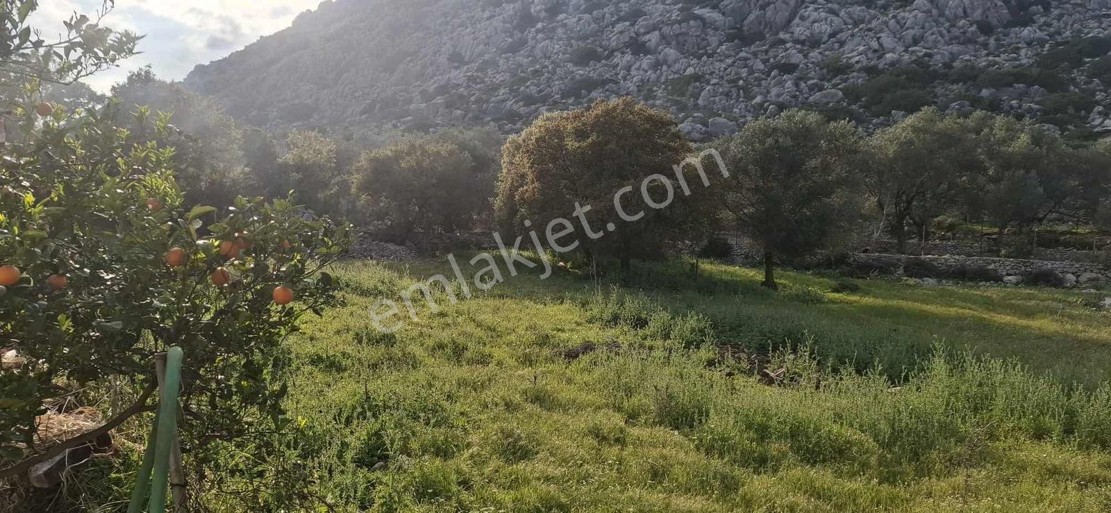 Mabel'den Marmaris Bozburunda Denize Yakın Satılık 3237m2 Tarla - Görsel 5