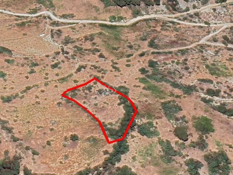 Cb'den Sarıçukur'da Kılavuzlu'ya Yakın Tek Tapu Satılık Arsa - Görsel 15