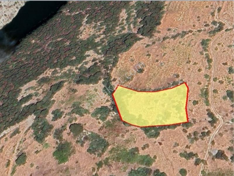 Cb'den Sarıçukur'da Kılavuzlu'ya Yakın Tek Tapu Satılık Arsa - Görsel 25