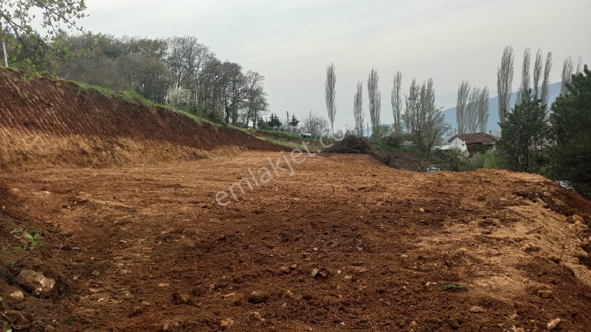 Sakarya Pamukovada Kelepir Arsalar - Görsel 15