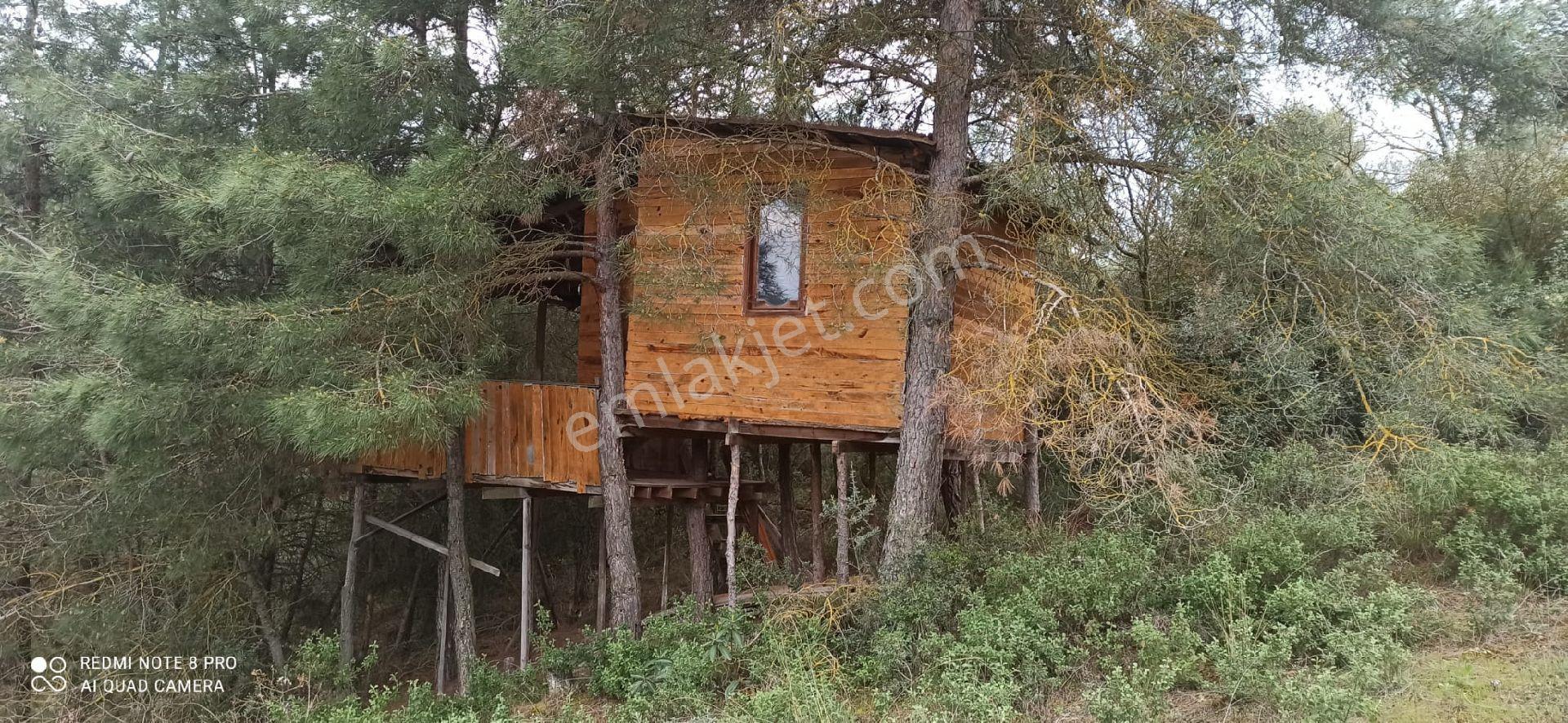 Sakarya Pamukovada Kelepir Arsalar - Görsel 7