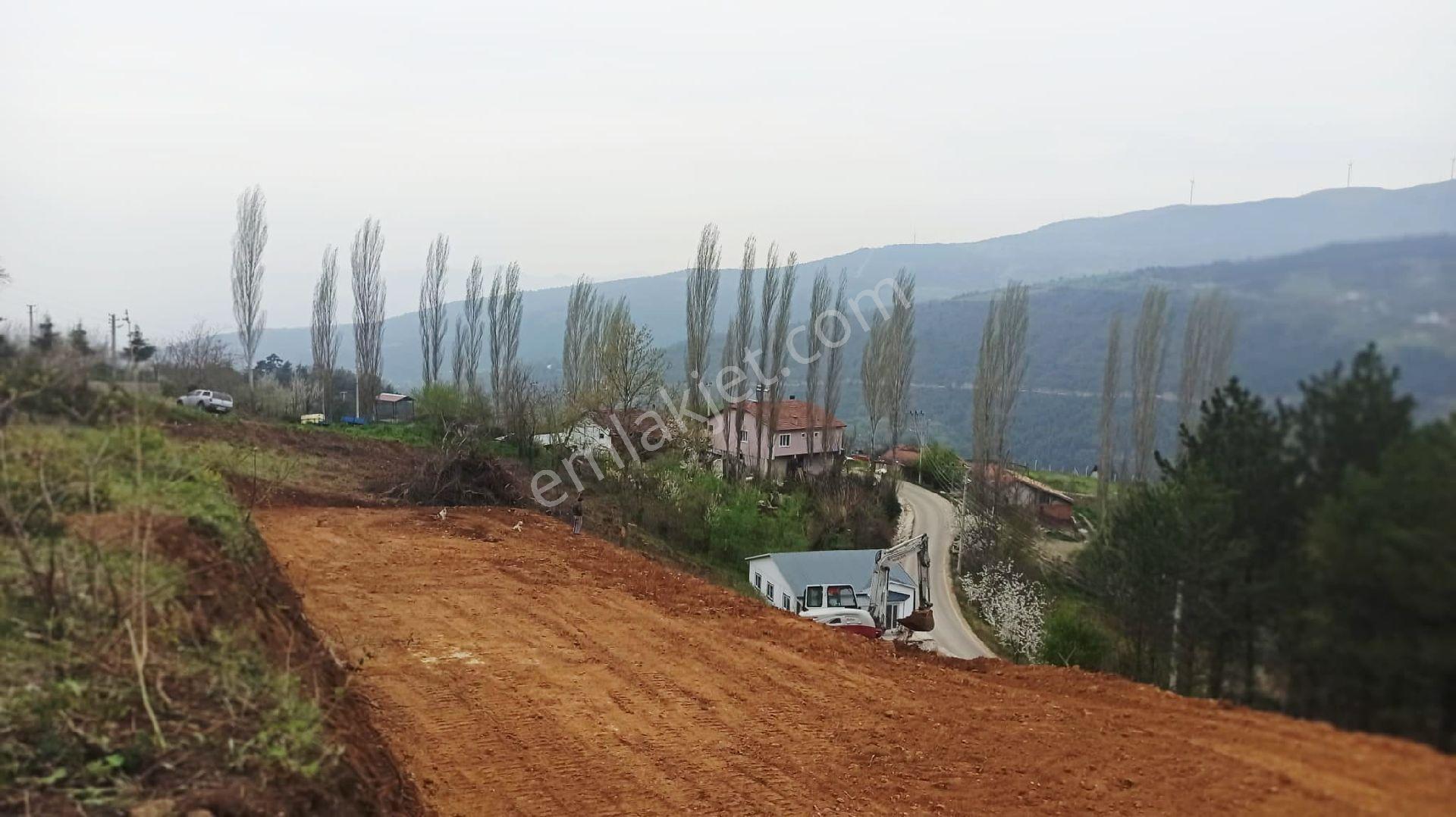 Sakarya Pamukovada Kelepir Arsalar - Görsel 12