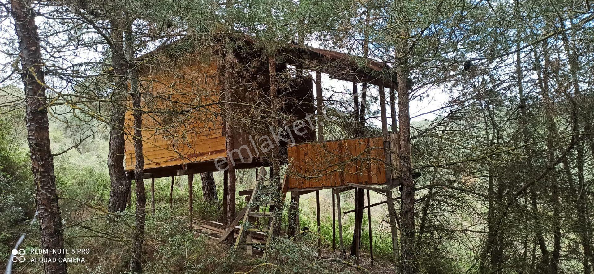Sakarya Pamukovada Kelepir Arsalar - Görsel 6