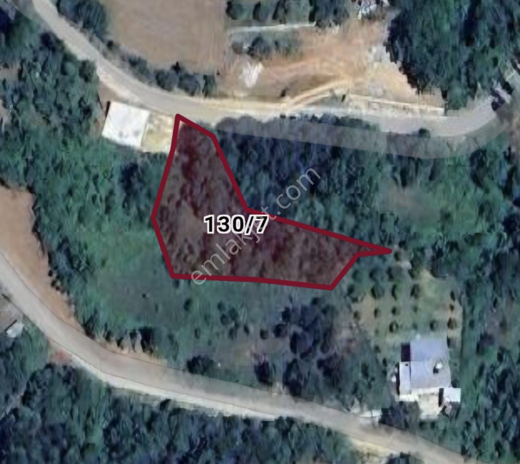 Sakarya Pamukovada Kelepir Arsalar - Görsel 9